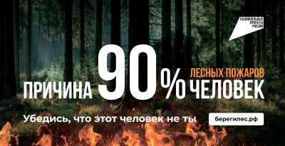 Проводится Федеральная информационная противопожарная кампания «Останови огонь!».