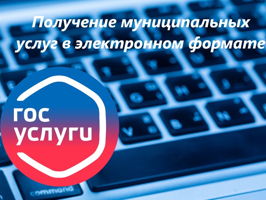 Предоставление муниципальных услуг в электронном виде.