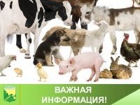 Выездные обследования хозяйств населения!.