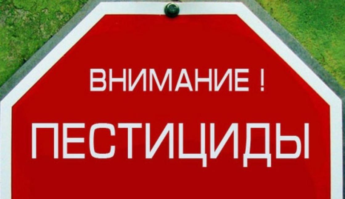 Безопасность при работе с пестицидами и агрохимикатами.